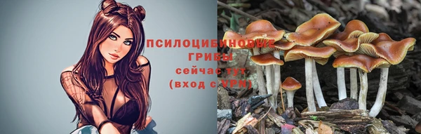 apvp Гусь-Хрустальный