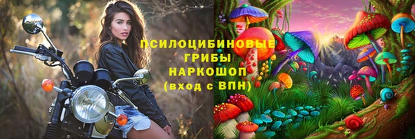каннабис Аркадак